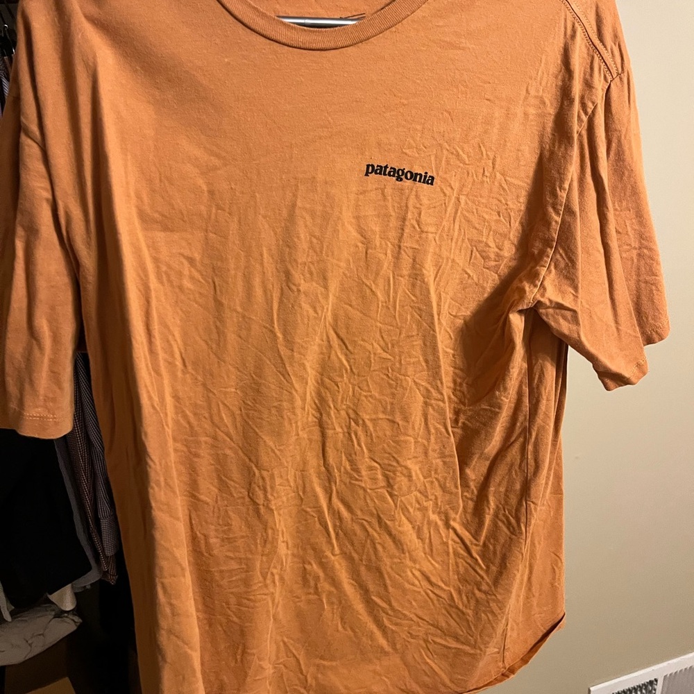 Patagonia Men's Short Sleeve Tee in Burnt Orange